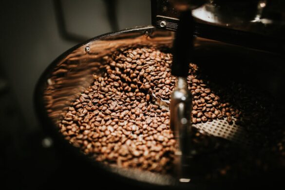 Arabica vs Robusta Coffee Beans: Discover the Key Differences and Which One is Right for You!